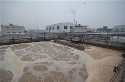 Chine Pour le décanteur tournant mécanique de l'eau de réacteur séquentiel en lots de station d'épuration à vendre