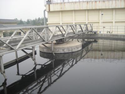 China Central Transmission Sludge Suction Scraper Bridge for Water Treatment for sale
