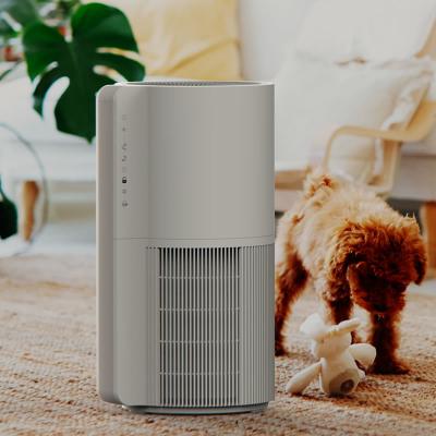 China Animal Dander Removal Pet Air Purifier For Cat Allergies Absorption Hair for sale