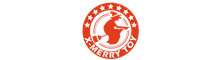 Shenzhen X-Merry Toy Co.,Ltd