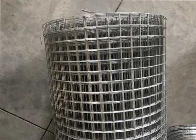 China Stainless Steel Welded Wire Mesh/  Stainless Steel Welded Mesh/Ss Welded Wire Mesh for sale