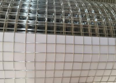 China Welded Wire Mesh,Galvanized Welded Wire Mesh for sale