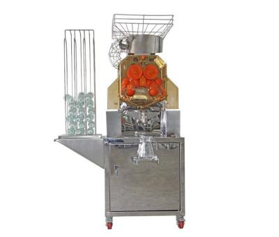 China Self-Service Commercial Citrus Juicer Machine Stainless Steel for sale