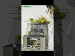 Electric Auto Citrus Juicer Machine Multifunction Anti Rust