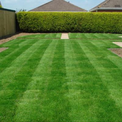 China 35mm Synthetic Artificial Grass , Anti UV Garden Turf Grass For Yard for sale