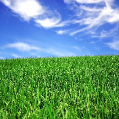 China 50mm Landscaping Synthetic Artificial Grass For Football Court for sale