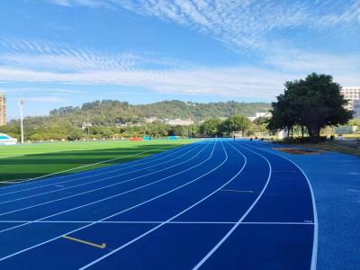 China Easy Installation And Weather Resistance Jogging Running Track For Professionals for sale