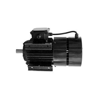 China 100 - 200Hz Pmsm Electric Motor Synchronous High Speed Pm Motor for sale
