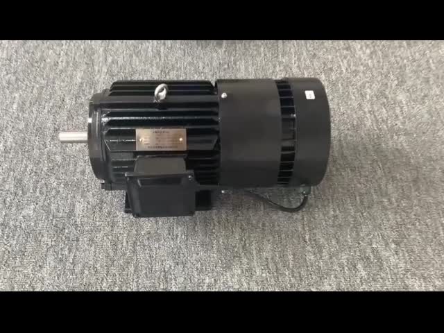 Permanent magnet drive integrated motor