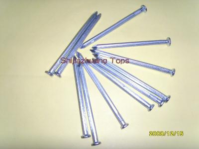 China galvanized umbrella nails (Professional Manufactory) for sale