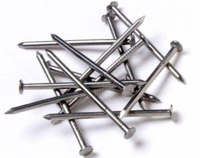 China bright smooth common nails(FACTORY) for sale