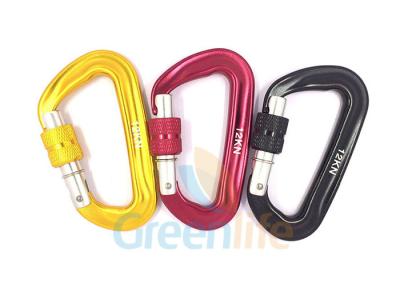 China Auto Lock Marine Snap Hook , D Shape Big Size Rock Climbing Carabiner Colorful for sale