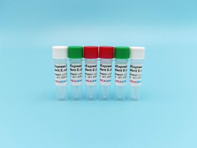 China OverExpress C43 Competent E. Coli 48/96 Tests/Kit For PET Series PGEX PMAL Proteins for sale