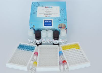China Food Safety Enrofloxacin ELISA Test Kit Rapid Assay Protocol With Strong Sensitivity for sale
