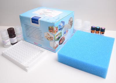 Chine Kit de essai colorimétrique de lait en poudre de kit d'analyse de haute L-carnitine sensible à vendre