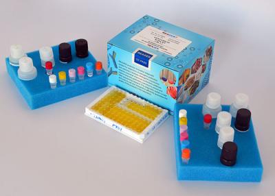China High Accurate Beta-Lactam ELISA Testing Kit , 96 Test Food Safety Testing Kits for sale