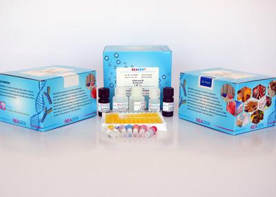 China High Reproducibility Vitamin B5 (Pantothenic Acid) Test Kit 96 Test for sale