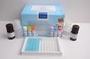China Portable Elisa Microplate Reader With Large LCD Display for sale