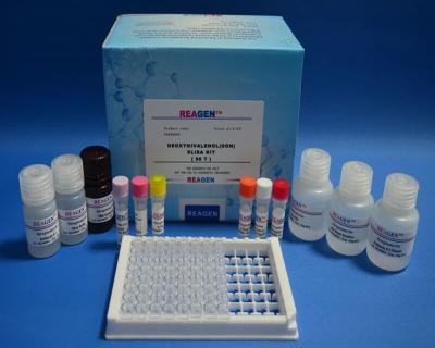China 0.2ng/G Ppb Sensitivity Kanamycin ELISA Kit Testing Drugs High Accuracy for sale