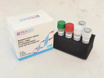 China High Sensitivity Monkeypox PCR Test Kit Fluorescence Real Time PCR Detection Kit for sale