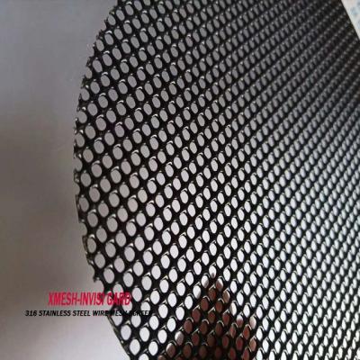 China Black Powder CoatedStainless Steel Bug Screen Pet Resistant Insect Screen Customized for sale