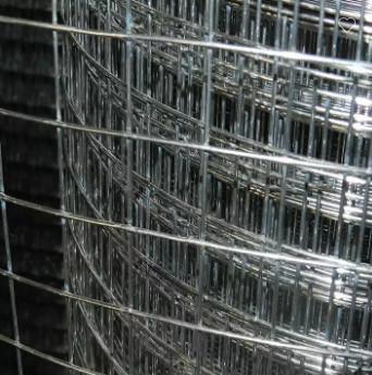 China 2.0mm-4.00mm Galvanized Welded Wire Mesh Fencing Iron Wire Mesh Fence antirust for sale