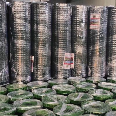 China Ole Electro Hot Dipped Galvanized Welded Wire Mesh 16 Gauge for sale