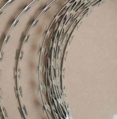 Chine Tape barbelée galvanisée en PVC en acier inoxydable Concertina Bto-22 Bto-60 Cbt-65 Dans l'escrime à vendre
