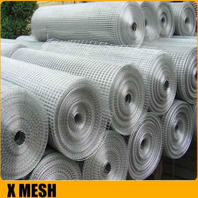 China Hot Dipped Galvanized Welded Wire Mesh Roll 1/2 Inch For Snake Cage for sale