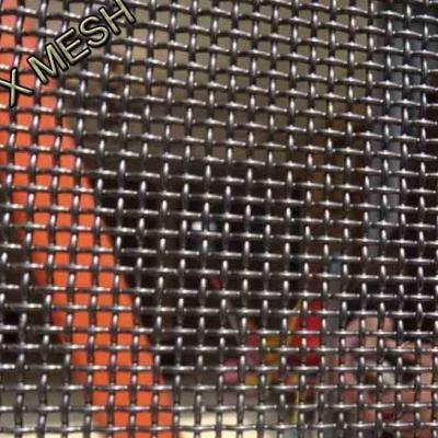 China Fastness SS304 316L Stainless Steel Mosquito Mesh/ Insect Net Window Screen for sale