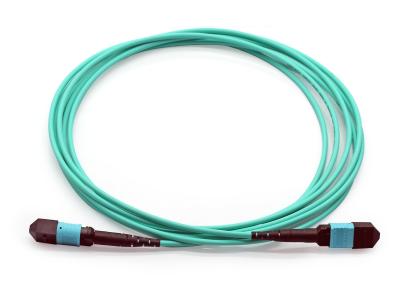 China Multimode OM4 Fiber Patch Cables LSZH MPO Trunk Cable 3m 5m Customized for sale