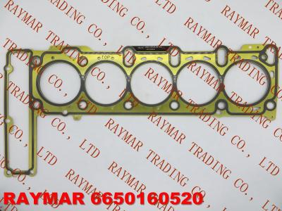 China SSANGYONG Engine cylinder head gasket 6650160520, A6650160520 for sale