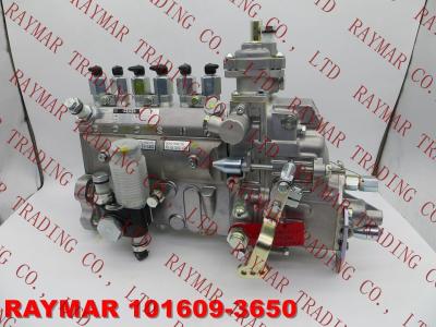 China ZEXEL Fuel injection pump 101609-3650, F01G0V0002  for Cummins 4063208, KOMATSU 6738-71-1310, 6738711310, for sale