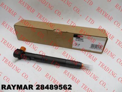 China DELPHI Common rail injector 28264952, 28489562 for GM, CHEVROLET Captiva 2.0D 25183185, 25195088 for sale