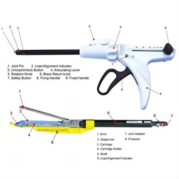 Quality Six Rows Staples Disposable Linear Cutter Stapler Excellent Blood Supply To The for sale