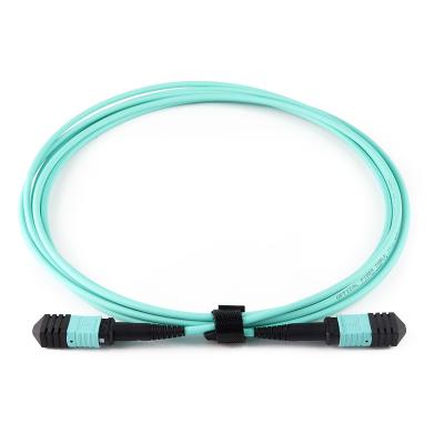 China MPO Trunk Cable, 12 Core MPO Patch Cord, OM3 MTP/ MPO Cable for sale