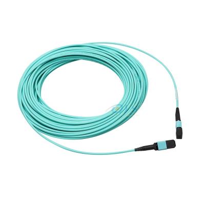China MPO MTP 8 12 24 Core OM3 Male and Female Fiber Optical MPO Trunk Cable for sale