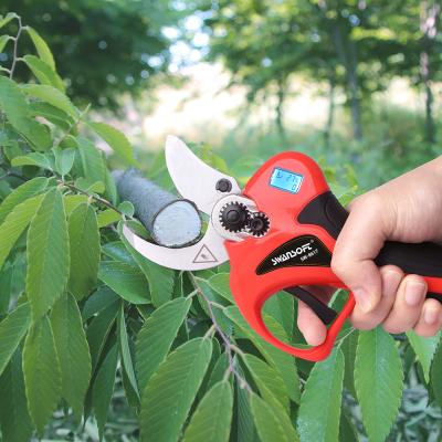China Hot Sale Electric Pruning Shears With Finger Protection Pruner Garden Scissors for sale