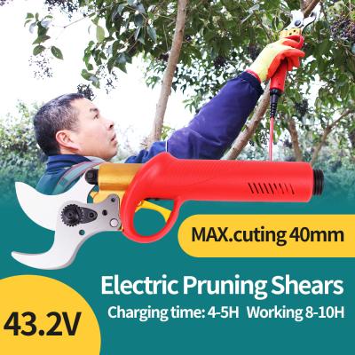 China 40mm Cordless Electric Pruner, Battery Pruning Shears, Portable Wireless Secateurs for sale