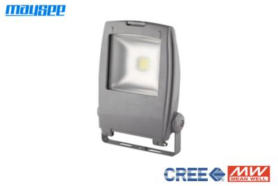 China Epistar COB Chip 10W RGB LED Flood Light Outdoor IP65 for Landscape Lighting for sale
