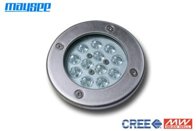 中国 ドックのためにLED LEDのドックライト、LED水中ライトを変更する防水RGBの色 販売のため