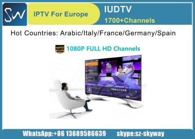 China IUDTV IPTV Subscription 10 Pieces and Each for 1 Year offer reseller Control panel en venta