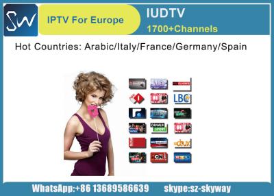 China IUDTV Iptv Subscription 1 year with Live TV Sports Channels Sky Channels IPTV Account Europe for sale