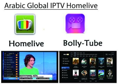 China Arabic IPTV Bein OSN Africa Europe USA Indian Global  Live channels + VOD stable iptv apk for sale