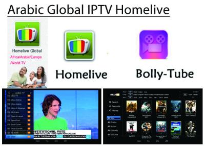 China HD World IPTV Live VOD HD Channel best for Europe Arabic Asian Africa USA Global IPTV subscription for sale