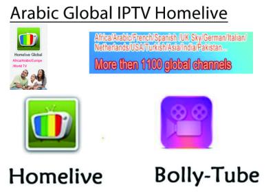 China Africa Iptv subscription Live TV VOD Movies channels France Arabic Africa Europe IPTV 12 Months 4K Smart iptv apk for sale