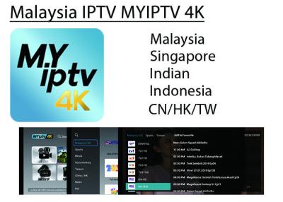 China Wholesale Malaysia best iptv MYIPTV4K SUBSCRIBE Malaysia singapore Indian Indonesia IPTV for android tv box  phone for sale