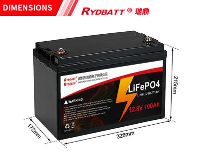 China 12V 100Ah LiFePO4 Lithium Battery Rechargeable 2000cycles Built In BMS for sale