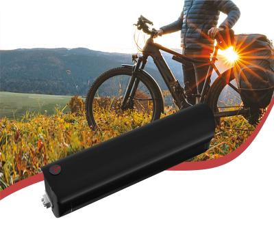 China 18650 13S3P E Bike Li Ion Battery Pack customized cell brand for sale