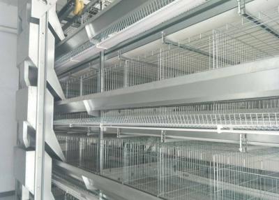 Chine Équipement automatique de volaille d'agriculteur d'équipement d'élevage d'oeufs de poulet à vendre